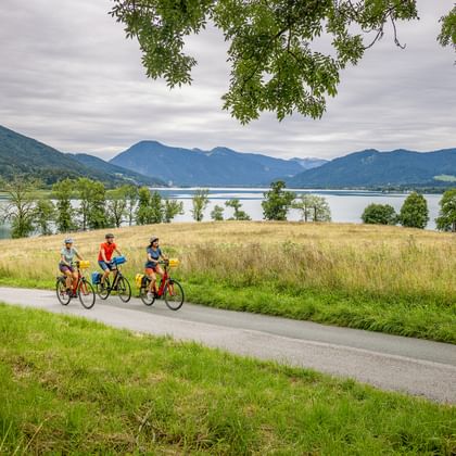 Drie fietsers rijden op een geasfalteerd pad naast de Tegernsee in Beieren, met gouden grasland, groene bomen en bergen op de achtergrond.