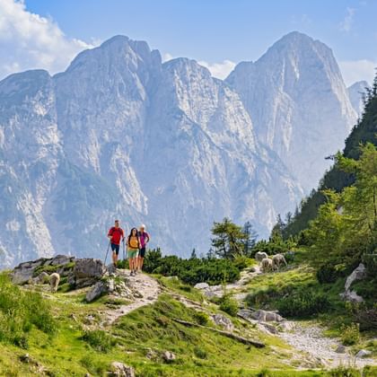 Drie wandelaars staan op rotsachtig terrein bij de Vršič-pas met dramatische kalkstenen bergtoppen op de achtergrond en schapen.