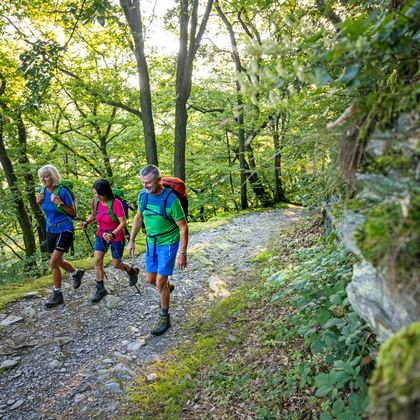 Hiking in the Spessart region with Eurohike