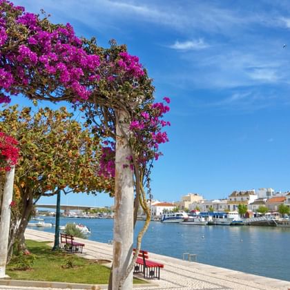 Ausblick auf beim Sternwandern in Tavira