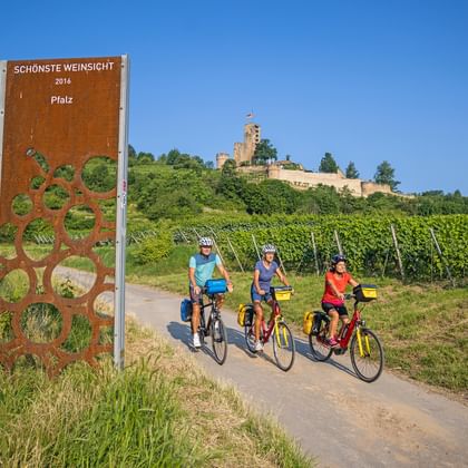 Drie fietsers op pad door Paltswijngaarden met kasteel Wachtenburg op heuvel. Wijnroutebord toont 'Schönste Weinsicht 2016 Pfalz'.