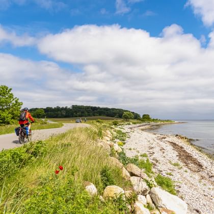 Fietser in oranje jas op kustpad bij Bøgebjerg Strand, Denemarken. Het pad loopt tussen groene weiden en een rotsachtig strand met kalme zee.