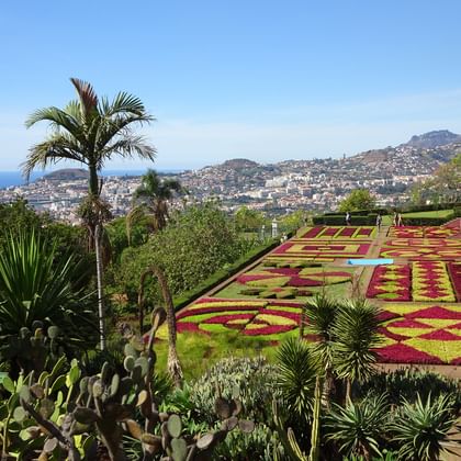 Kleurrijke geometrische bloementuin in Funchal, Madeira met rode en gele bloemmotieven. Palmbomen en tropische planten omlijsten het stadsgezicht.