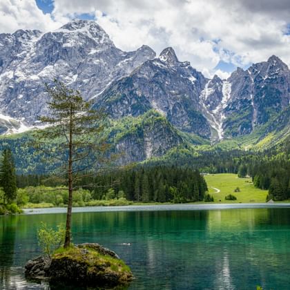 Smaragdgroen meer Laghi di Fusine met klein rotseiland en eenzame boom. Besneeuwde bergtoppen achter dichte bossen onder bewolkte hemel.
