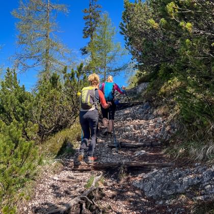 Twee wandelaars met rugzakken beklimmen een rotsachtig bergpad omgeven door pijnbomen onder een blauwe hemel in de regio Saalfelden.