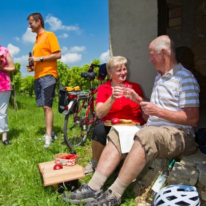 Wine rest