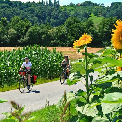 Twee fietsers met fietstassen rijden op een landweg langs felgele zonnebloemen, met groene heuvels en wijngaarden op de achtergrond.