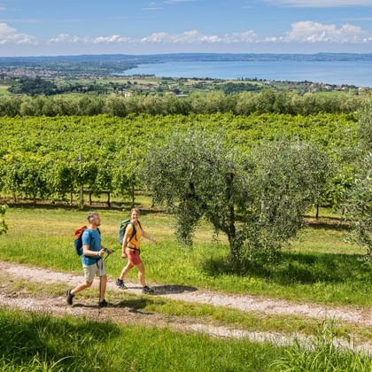 Twee wandelaars op pad door olijfgaarden en boomgaarden bij Cavaion Veronese met panoramisch uitzicht op het Gardameer en bergen.