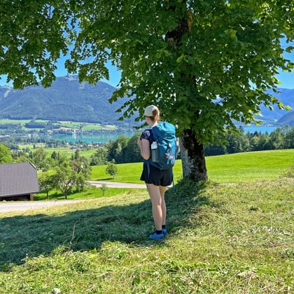 Vrouwelijke wandelaar met blauwe rugzak onder grote boom op groene weide, uitkijkend over Wolfgangsee en bergen in Oostenrijk.