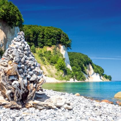 Witte krijtrotsen met groen bos bij Sassnitz op Rügen. Kiezelstrand met drijfhout op de voorgrond, turquoise Oostzeewater.