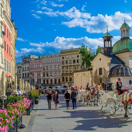 Kleurrijke gebouwen en kerk met groene koepel in de oude stad van Krakau. Paardenkoetsen en toeristen op zonnig plein met roze bloemen.