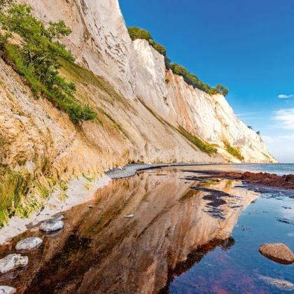 Witte krijtrotsen van Møns Klint met groene begroeiing bovenop, weerspiegeld in ondiep water op het strand. Blauwe lucht boven de Oostzee.