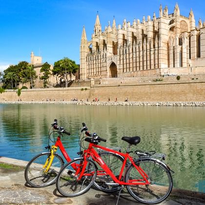Cathedral of Palma