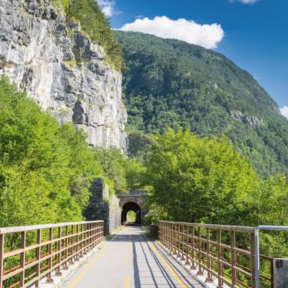 Fietsbrug op Alpe Adria Radweg in Fellatal leidt naar stenen tunnel, omgeven door groene bomen en rotskliffen onder blauwe lucht.