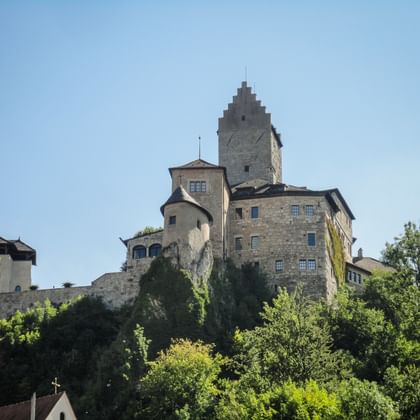 Kasteel Kipfenberg op een beboste heuvel met stenen torens en gebouwen onder blauwe hemel. Groene bomen omringen het middeleeuwse fort.