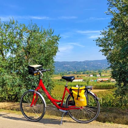 Bike in Vinci
