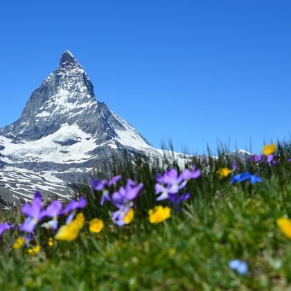 matterhorn