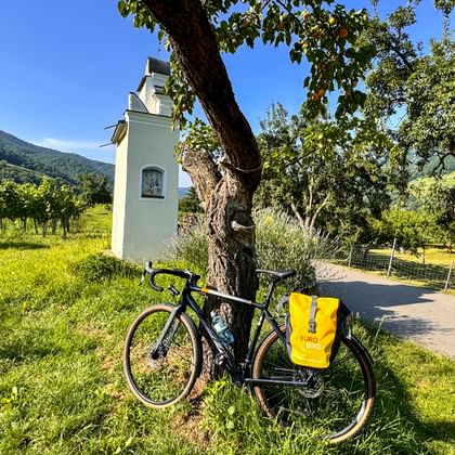 Zwarte gravelbike met gele fietstassen tegen boom bij wit wegkapelletje. Glooiende heuvels en wijngaarden op achtergrond.