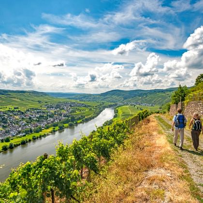 Wanderer am Moselsteig