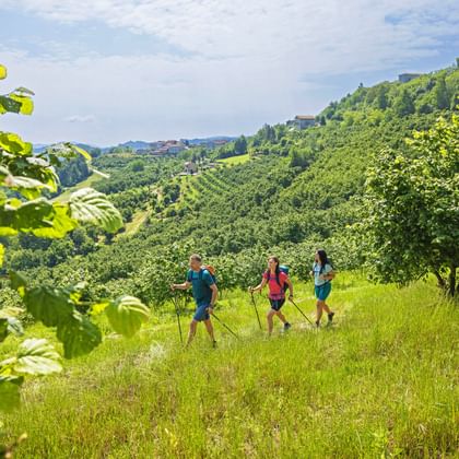 Drie wandelaars lopen door groene weide met hazelnootbomen in Piemonte. Glooiende heuvels en kasteel op heuvel zichtbaar op achtergrond onder blauwe lucht.