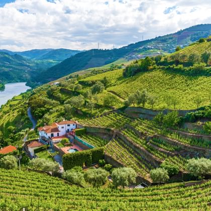 View of the Douro Valley
