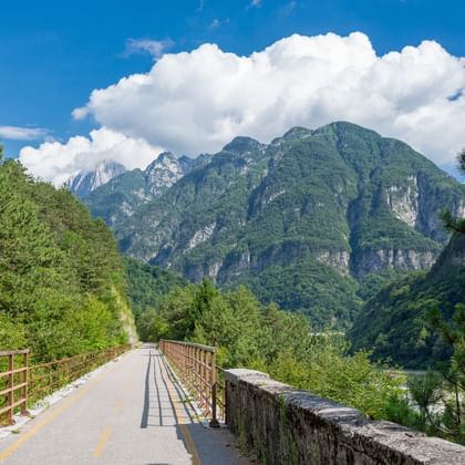 Stenen brug op Alpe Adria fietspad met houten leuningen door bebost dal naar dramatische Alpentoppen onder blauwe hemel.