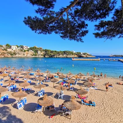 Zandstrand in Porto Cristo met blauw-wit gestreepte parasols, zonaanbidders, helder turquoise water en haven met boten op achtergrond.