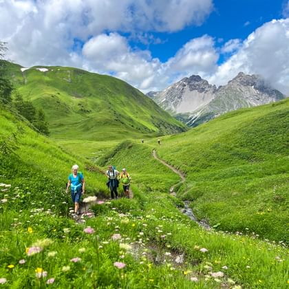 Groep wandelaars op bergpad door groene alpenweiden met wilde bloemen in de Lechtal Alpen, rotsachtige toppen op de achtergrond.
