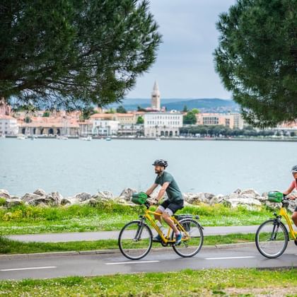 FA-Istrie-fiets