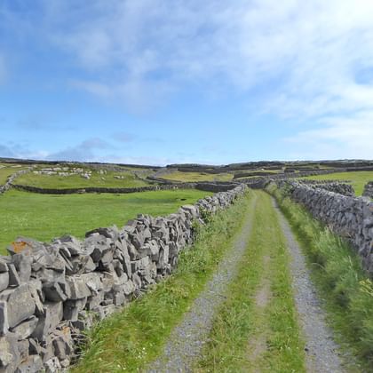 Hiking route Ireland's Western Way