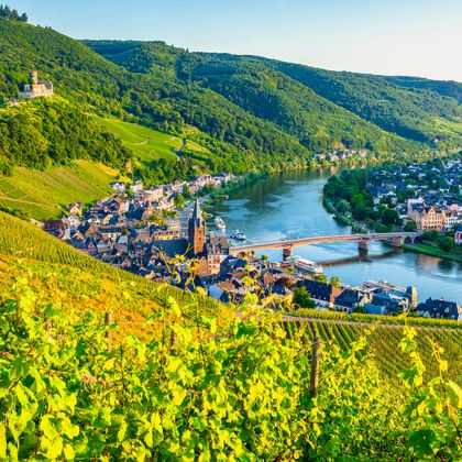Wijngaarden kijken uit over Bernkastel-Kues aan de Moezel, met een brug tussen beide oevers en een kasteel op de heuvel boven groene beboste hellingen.