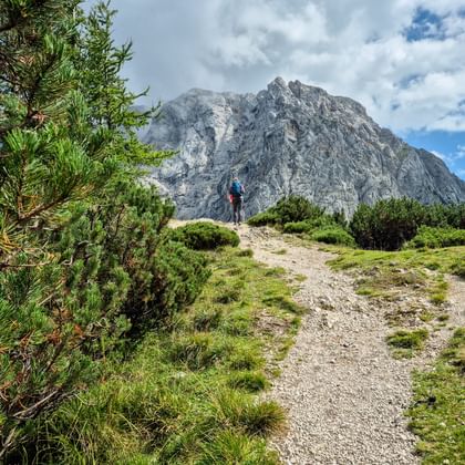 Wandelaar op bergpad bij Vršič Pass in Julische Alpen met rotsachtige top Bavha. Pad loopt door groene alpenweiden met dennen.