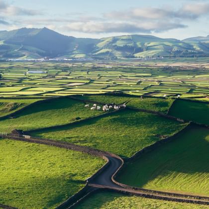 Luchtfoto van groene weiden met stenen muren op Terceira, Azoren. Glooiende heuvels en bergen zichtbaar op de achtergrond onder bewolkte lucht.