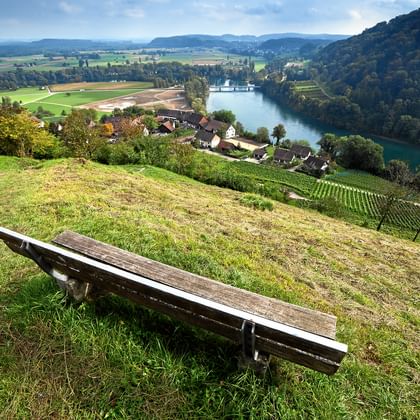 via-rhenana-wandelen-schaffhausen-natuurpark-rijn-bank