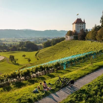 Twee fietsers picknicken op een pad naast wijngaarden bij kasteel Heidegg in Gelfingen, Zwitserland, met glooiende heuvels en een meer op de achtergrond.