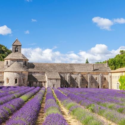 Abdij Senanque in Gordes met paarse lavendelvelden op de voorgrond. Historisch stenen klooster met klokkentoren onder blauwe hemel.
