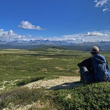 Wandelaar in blauwe jas en pet zit op grasrijke helling en kijkt uit over het uitgestrekte Dovrefjell-plateau met besneeuwde bergen.