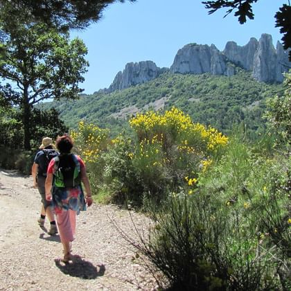 Twee wandelaars met rugzakken lopen op een zandpad door mediterrane vegetatie met Mont Ventoux's rotsachtige toppen op de achtergrond.