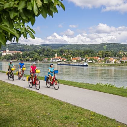 Groep van vier fietsers op pad langs de Donau bij Engelhartszell, met vrachtschip, dorp en groene heuvels op de achtergrond.