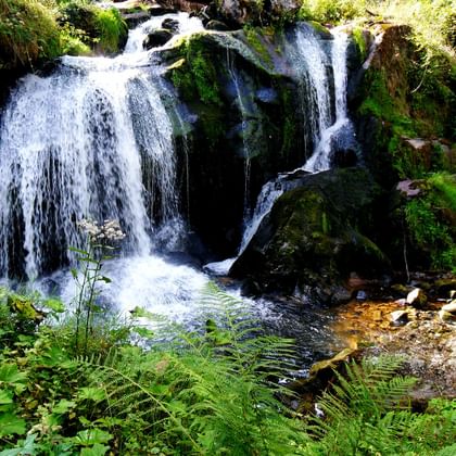 Trier waterval Eifel Moezel