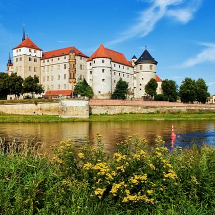 Kasteel Hartenfels in Torgau met rode daken en ronde torens weerspiegeld in de Elbe, omgeven door groene vegetatie onder blauwe hemel.