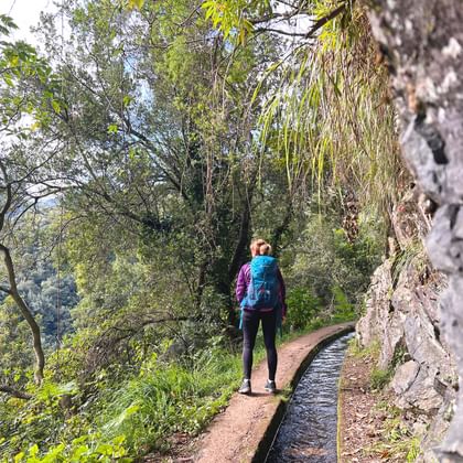 Vrouwelijke wandelaar met blauwe rugzak loopt langs Königslevada irrigatiekanaal op Madeira, omringd door weelderig groen bos.
