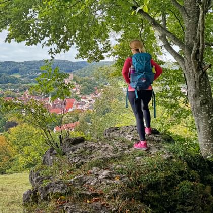 Vrouwelijke wandelaar met rugzak op rotsuitstulping onder grote boom, uitkijkend over Pappenheim in groene vallei.