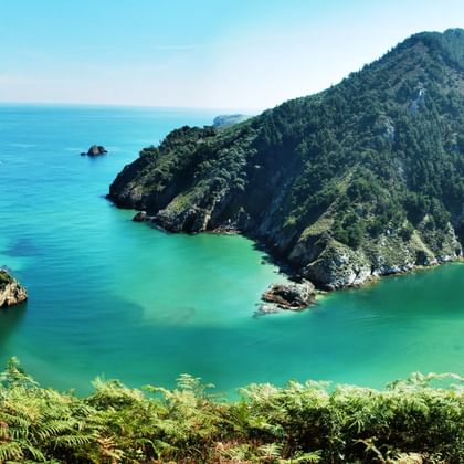 Schilderachtige kustbaai met turquoise water omringd door steile beboste kliffen. Groene varens op voorgrond, rotsformaties zichtbaar in de kalme zee.
