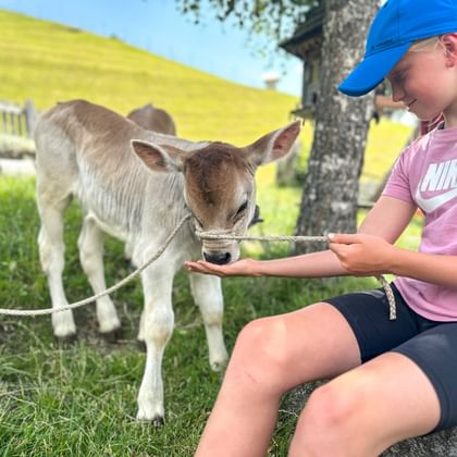 Jong meisje met blauwe pet en roze shirt zittend in het gras, handvoedend een bruin-wit kalf aan een touw op een bergweide.