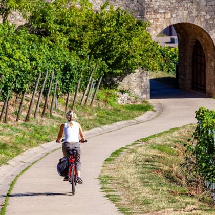 Fietser op verhard pad door wijngaarden richting stenen boog in Würzburg. Groene wijnstokken langs beide kanten van het pad.