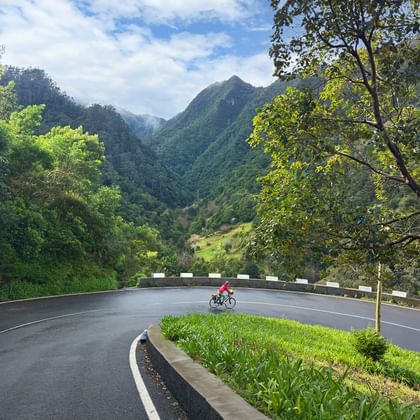 Fietser in rode jas op bochtige bergweg in Madeira, omringd door groene bomen en bergen onder blauwe lucht.