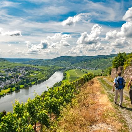Germany-Moselsteig Trail