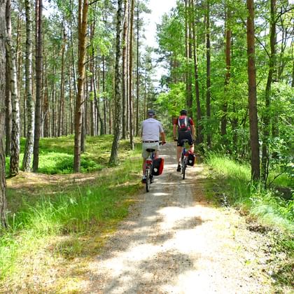 Twee fietsers met toerfietsen en fietstassen rijden op een bospad omgeven door hoge dennen en groene vegetatie richting Gdansk.
