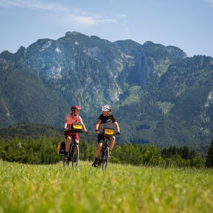 Alps panorama on the Alpe-Adria cycle path